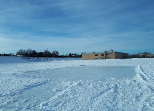 Juanita Snelgrove (Sandhill)