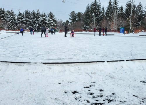 Lansdowne Skating Court