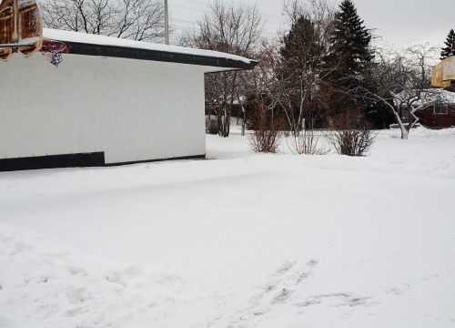 Nepean Museum - Doug Frobel Park