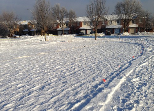 Meadowbreeze (Chris Neil)