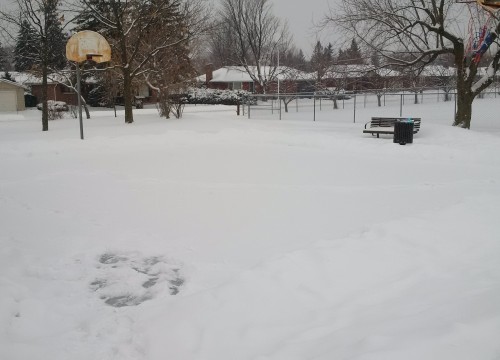 Nepean Museum - Doug Frobel Park