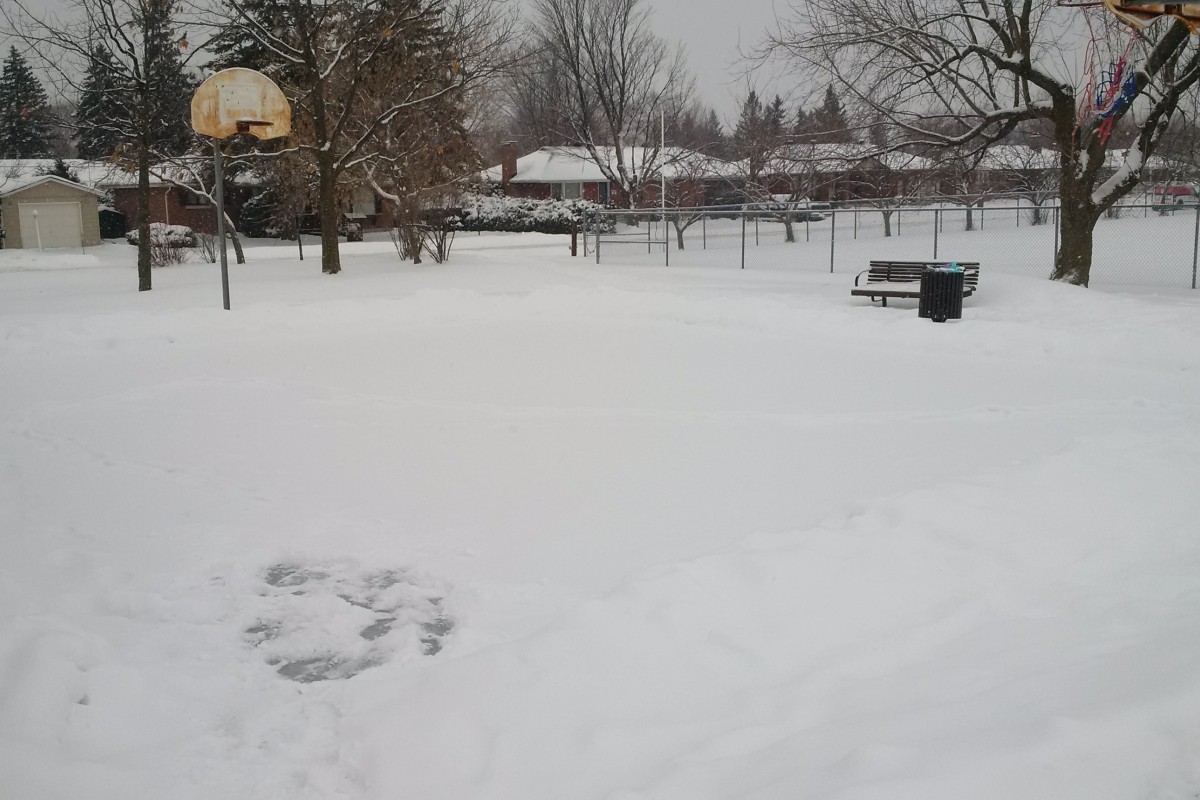 Nepean Museum - Doug Frobel Park